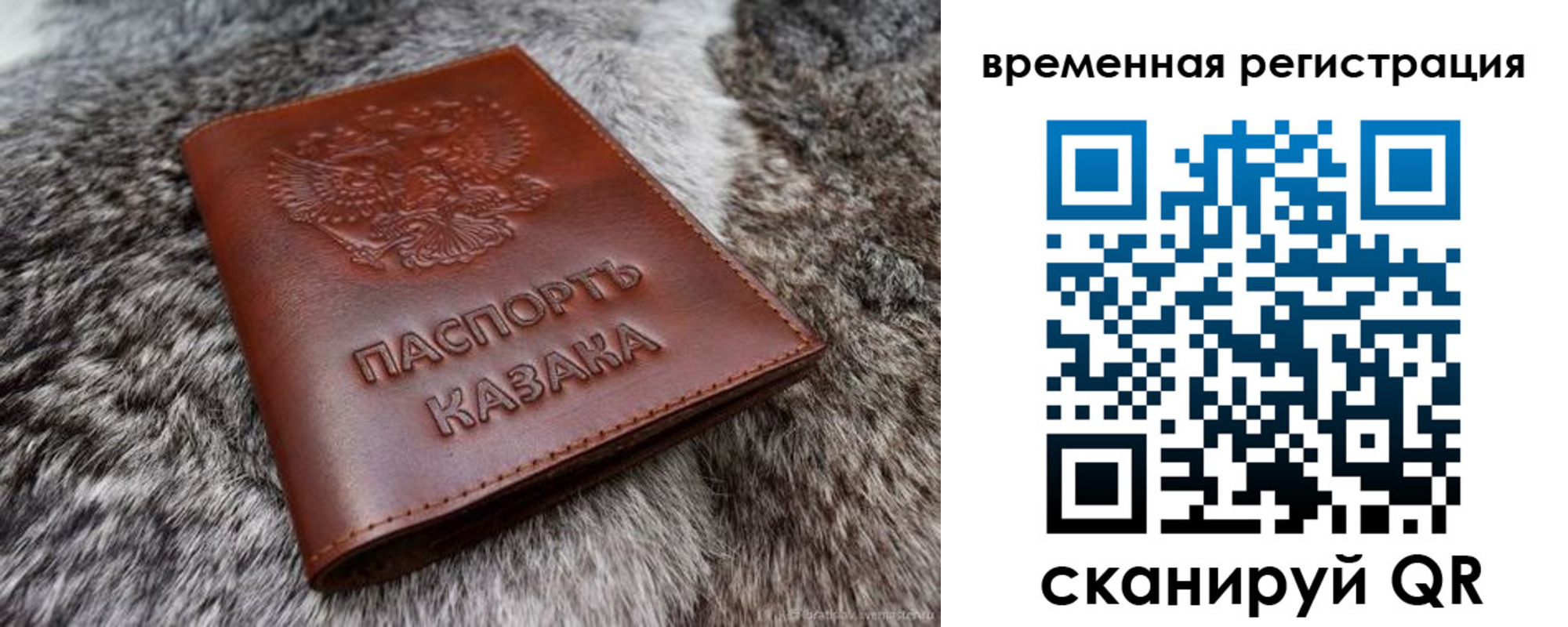 прописка 2025 в Гатчине